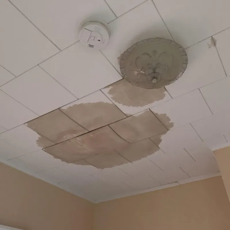 Ceiling Water Damage Repair in Newport, IN