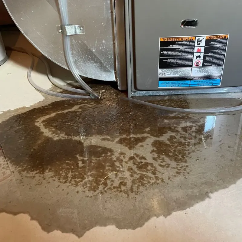 Pipe Burst and Leak Restoration in Newport, IN
