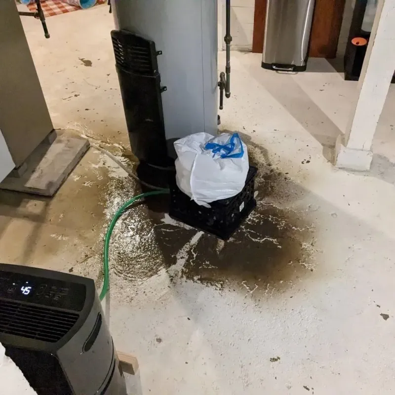 Sewage Backup Cleanup Service in Newport, IN